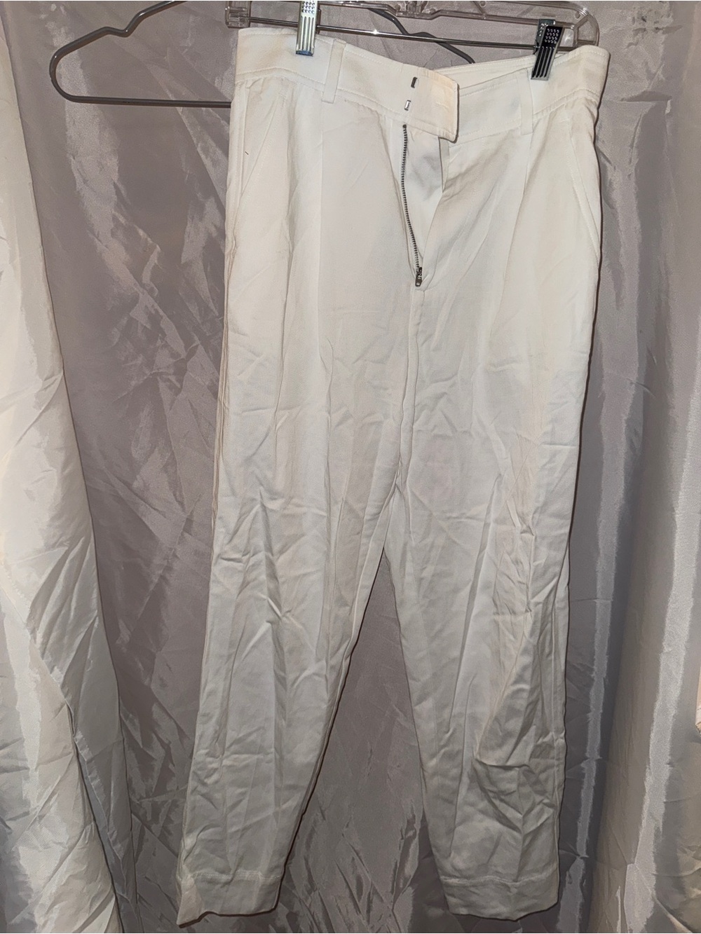 Everlane White Men's Pleated Dress Pants